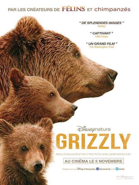 Grizzly14heures